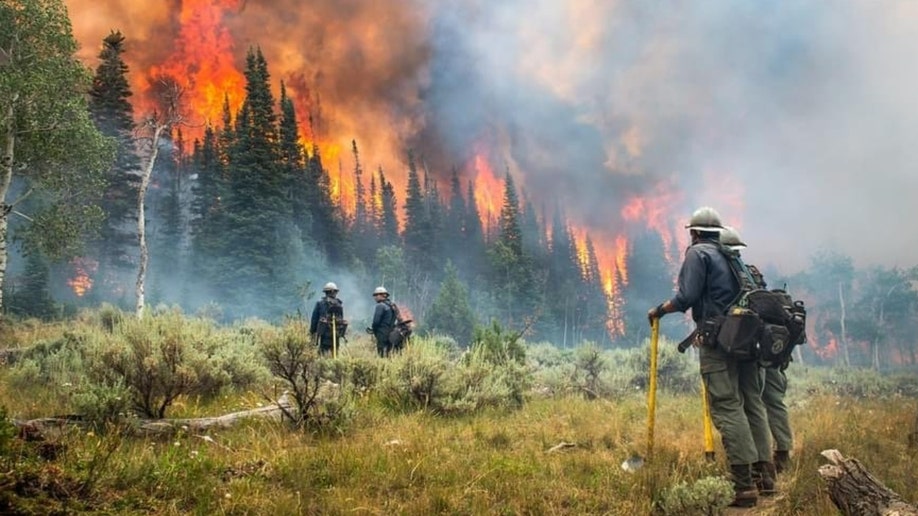 California's McKinney Fire