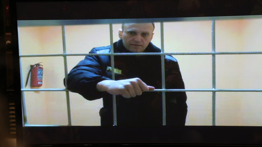 Alexey Navalny on a television screen