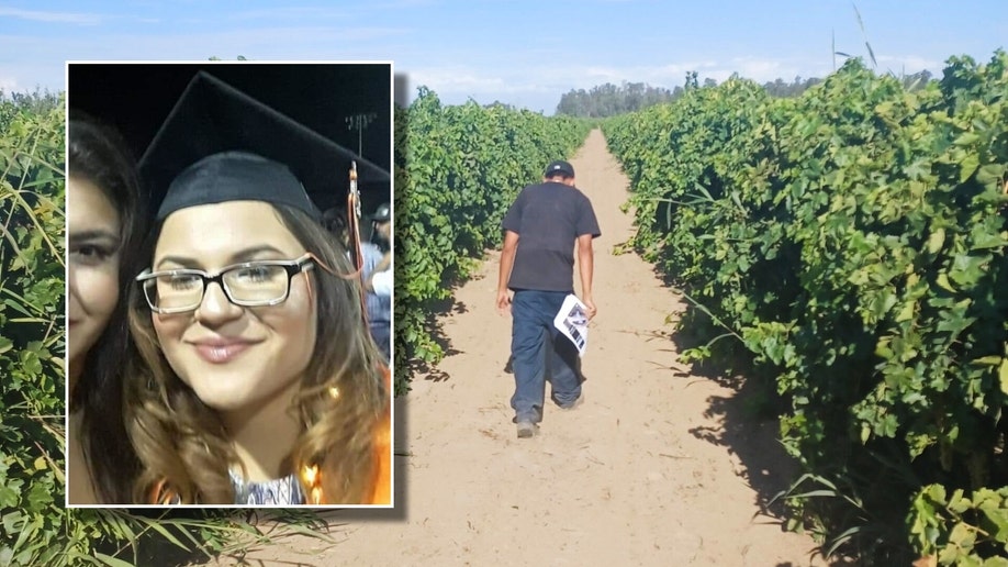 Photo illustration of misisng Jolissa Fuentes and her family searching a vineyard for signs of her