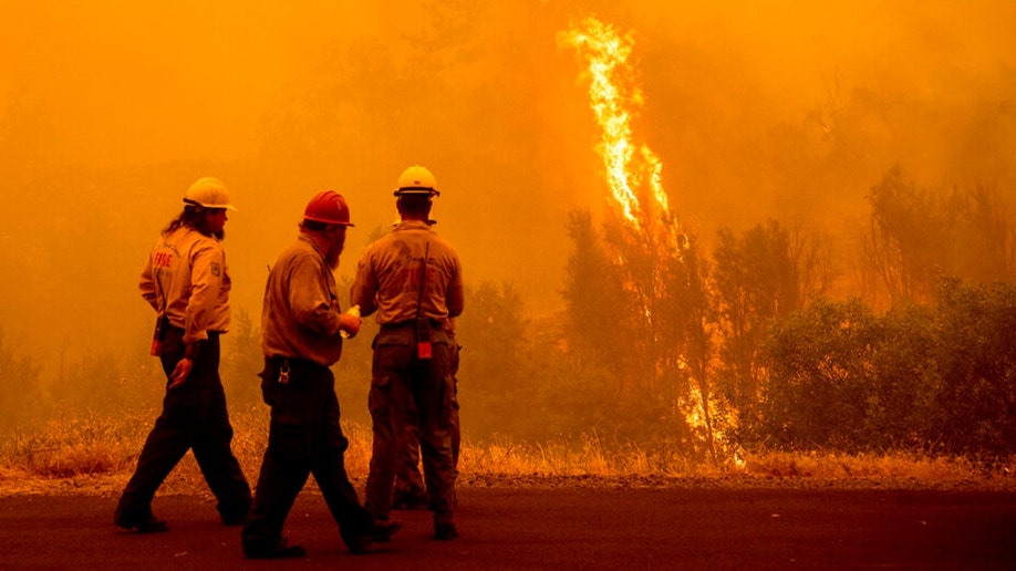 McKinney Fire flames