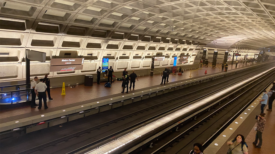 Washington DC train stabbing