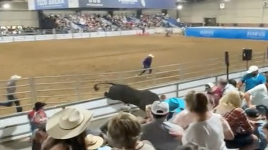 Bull escapes at Florida State Fair rodeo