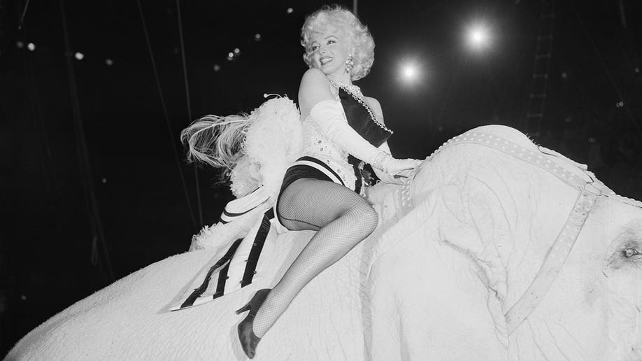 Marilyn Monroe riding an elephant in costume in 1955