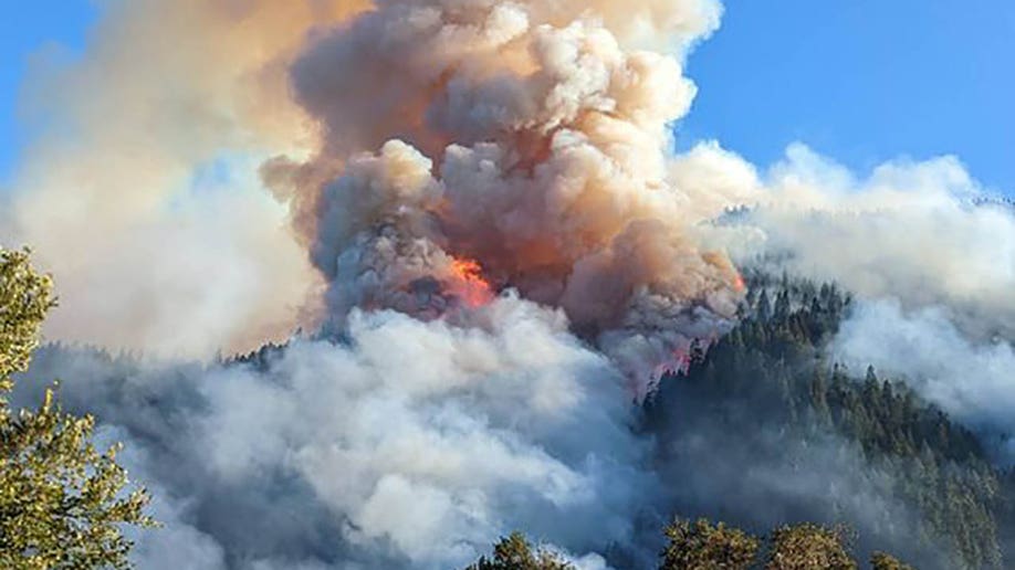 Rum Creek Fire burning forest