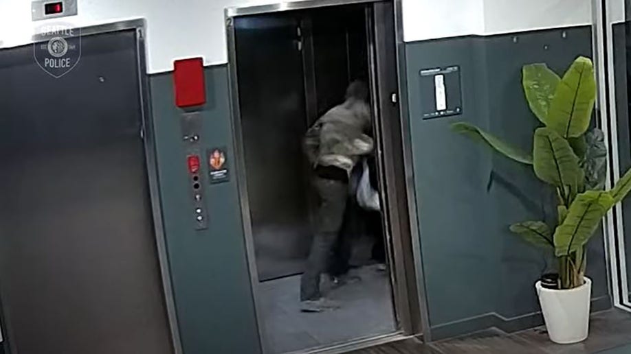 suspect attacking woman in elevator