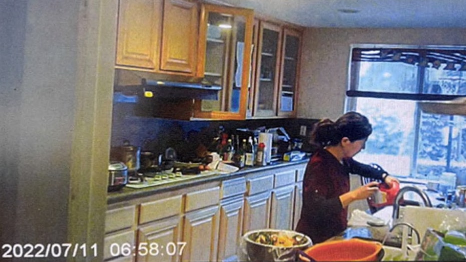 California doctor made ‘defamatory’ poisoning claims in bid to get custody of kids: Lawyer