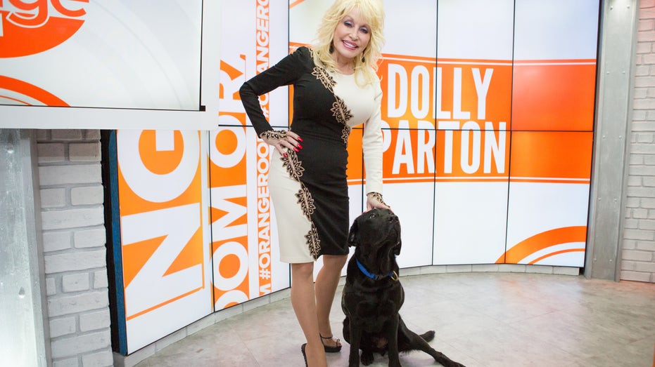 Dolly Parton dog