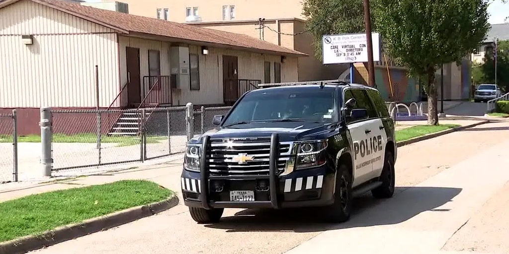Alleged incident of child being sexually assaulted while walking to school did not happen: Dallas PD - Vimarsana News