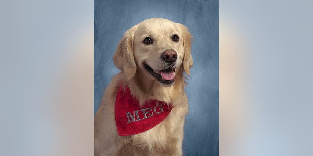 Dog at Ohio Middle School gets her own yearbook picture for 2nd year in a row - Vimarsana News