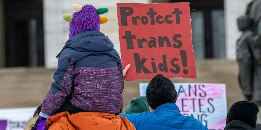 Mental health professionals have 'abandoned' duty of care in treatment of trans youth, therapist says - Vimarsana News
