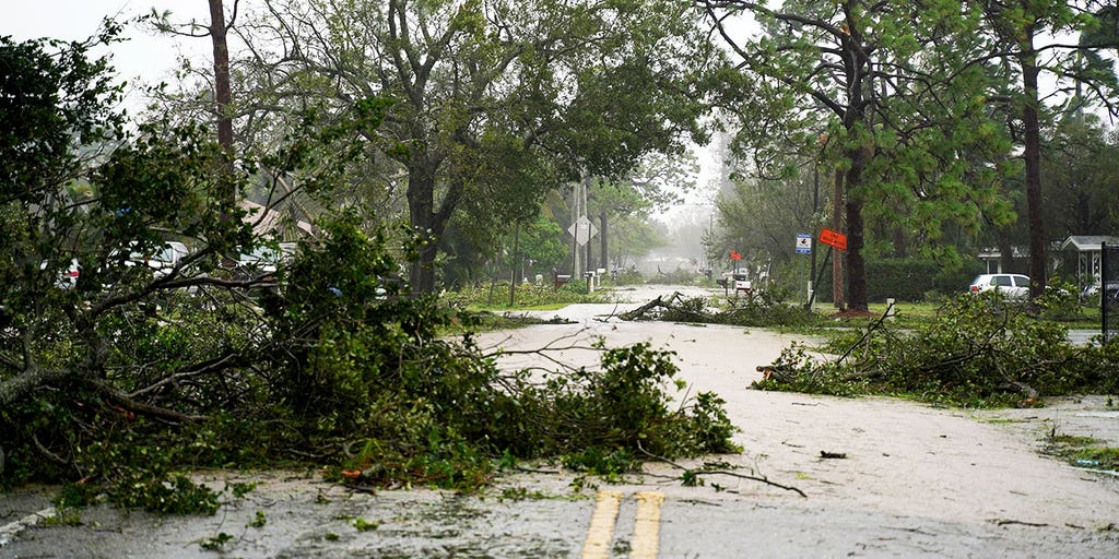 Hurricane Ian may have caused $2M in damage, tree nursery owner estimates - Vimarsana News