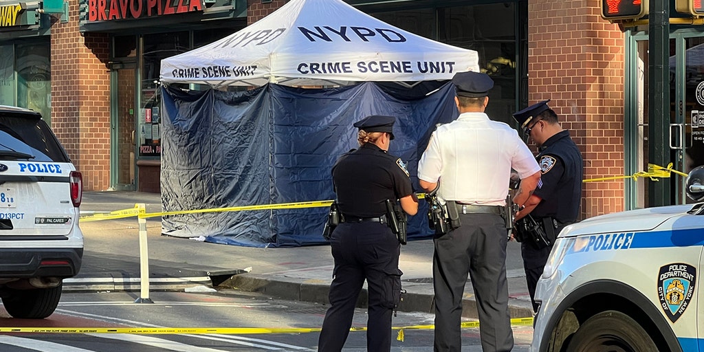 NYPD hunt for masked gunman in deadly shooting of 25-year-old woman near NYU - Vimarsana News