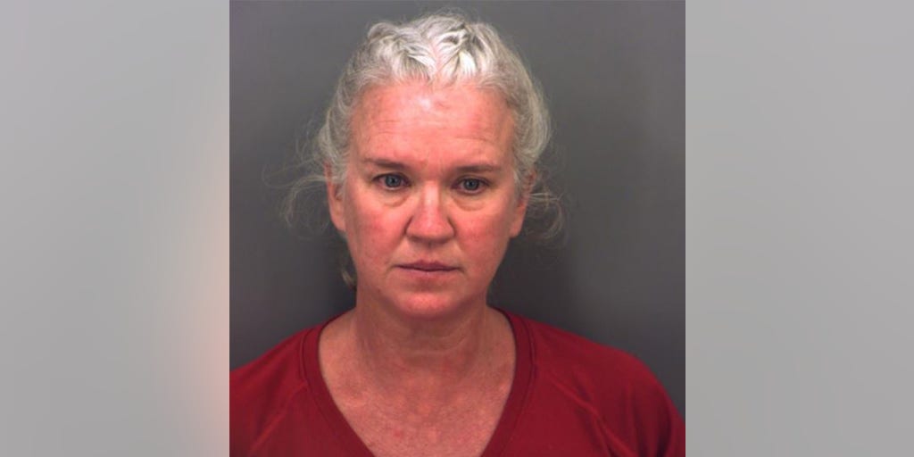 Texas authorities, FBI arrest woman, juvenile for allegedly kidnapping Florida baby - Vimarsana News