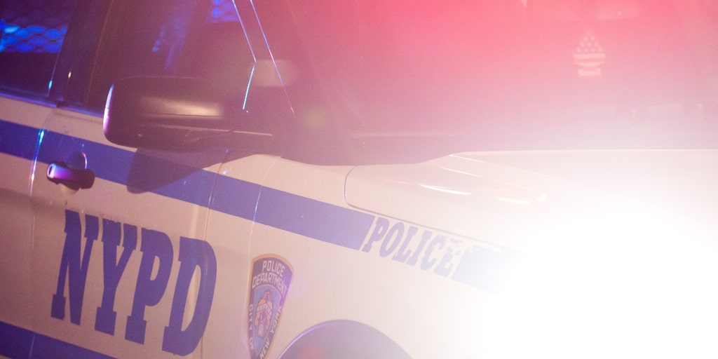 NYC ski mask-wearing assassins gun down 17-year-old in broad daylight deadly shooting: police - Vimarsana News