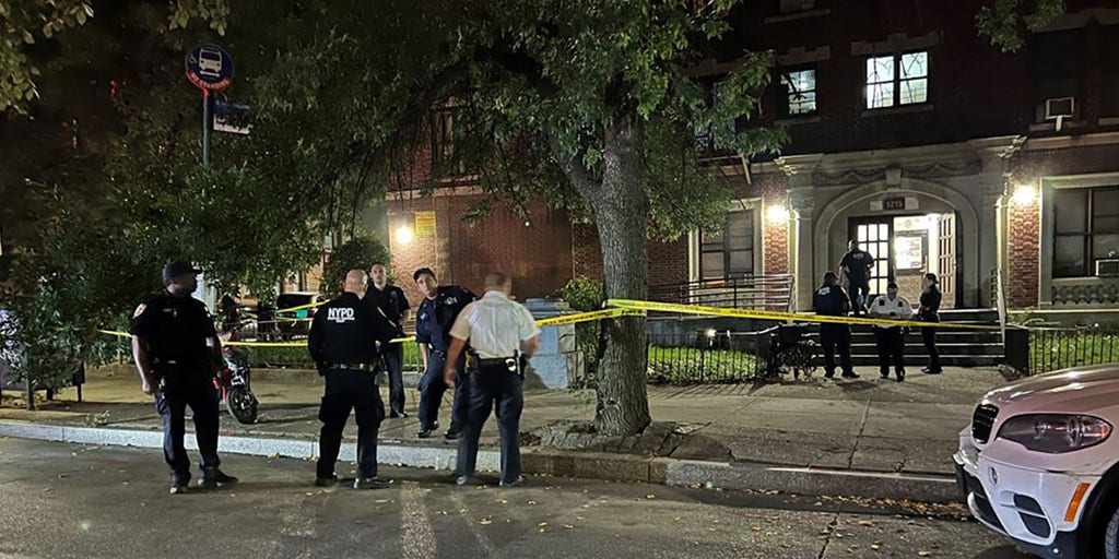 New York girl, 17, fatally shot outside of Brooklyn apartment; suspects at large - Vimarsana News