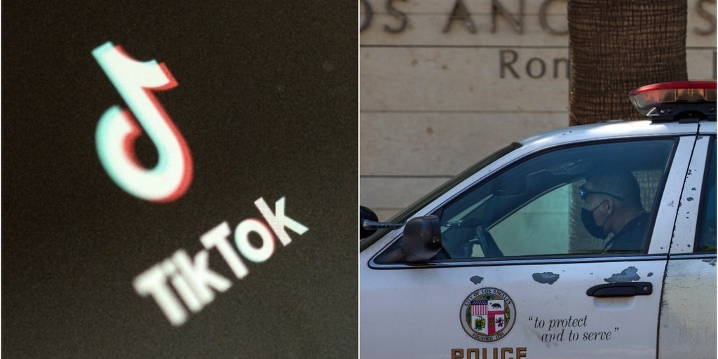 TikTok car theft challenge: LA police see 85% increase in Hyundai, Kia thefts since 2021 - Vimarsana News