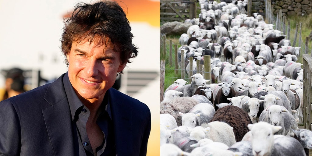 Tom Cruise's 'Mission: Impossible 8' set interrupted by a flock of sheep - Vimarsana News