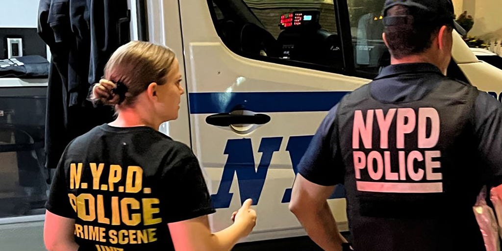Dismembered body reportedly found in suitcases in New York City apartment: 'Scary' - Vimarsana News