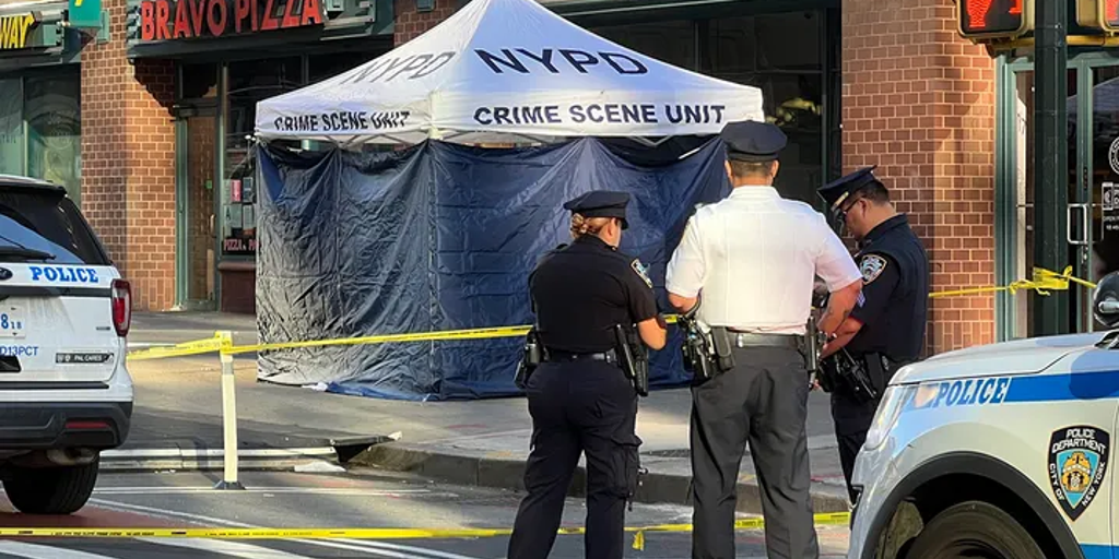 NYPD busts masked gunman in shooting of 25-year-old woman near NYU campus - Vimarsana News