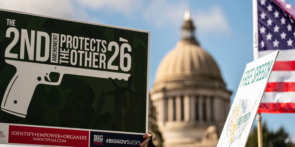 Democrats propose tax hike on guns, ammo weeks before midterm elections - Vimarsana News