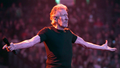 Roger Waters performing at a concert.