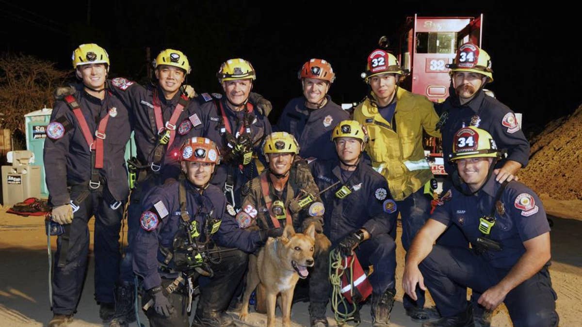 Firefighters with dog