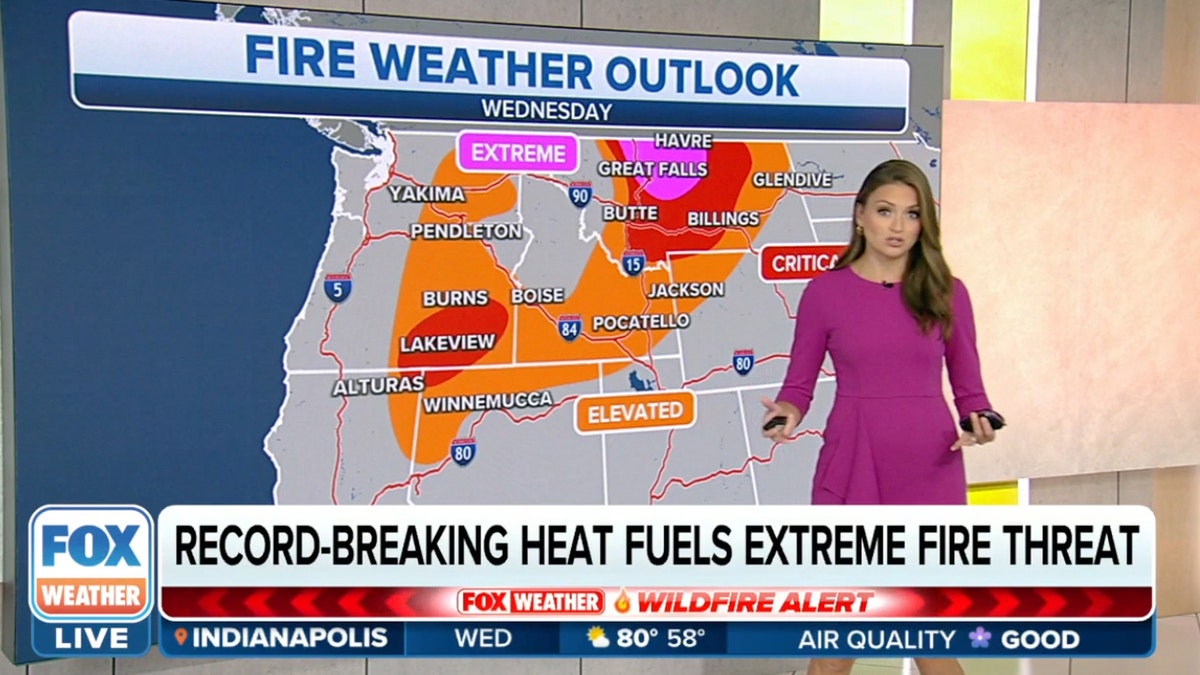 Weather reporter standing in front of a map showing wildfires