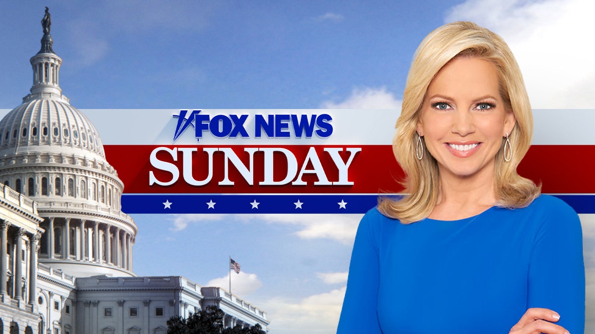 Shannon Bream recently moved from "Fox News @ Night" to "Fox News Sunday."