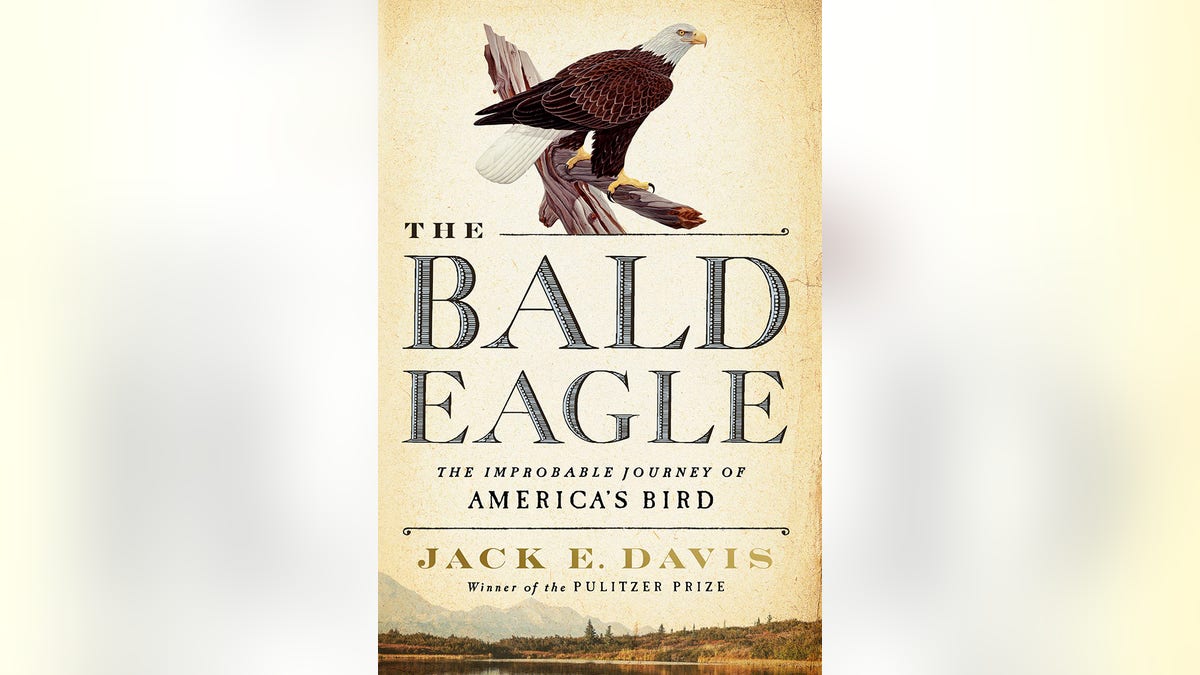 The Strange History of America's Bald-Eagle Obsession - The Atlantic