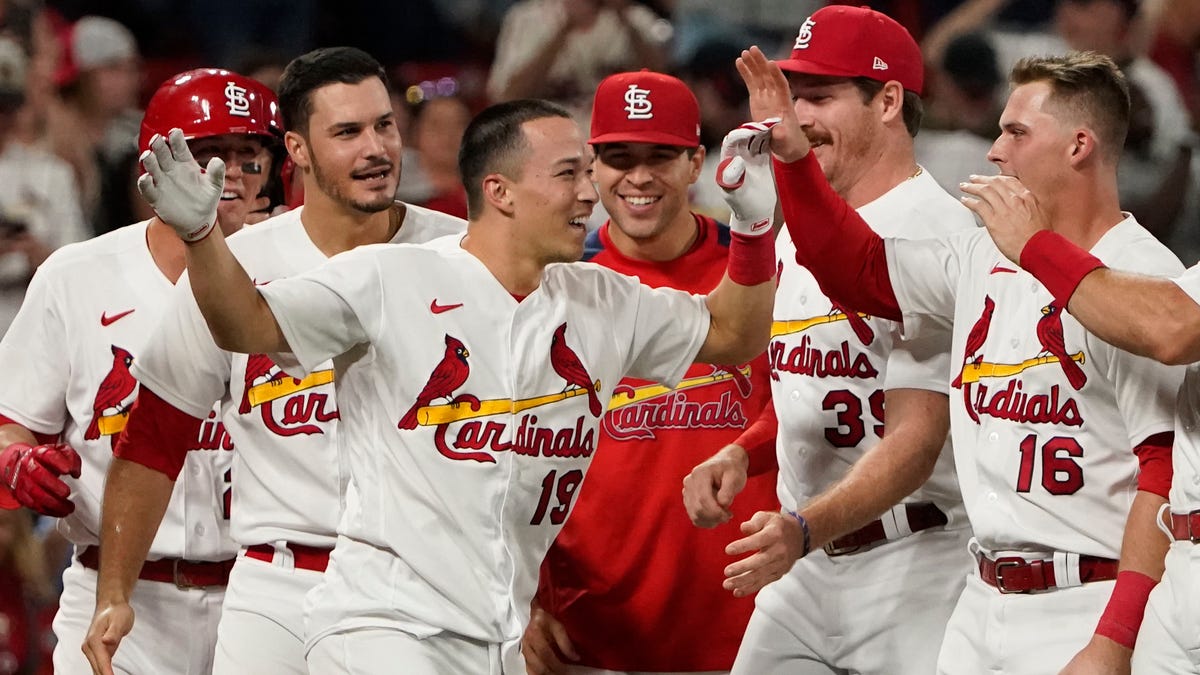 Edman caps epic comeback as Cardinals walk-off on Nationals