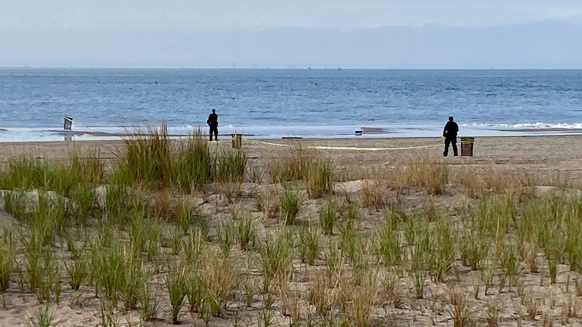 nypd on brooklyn beach