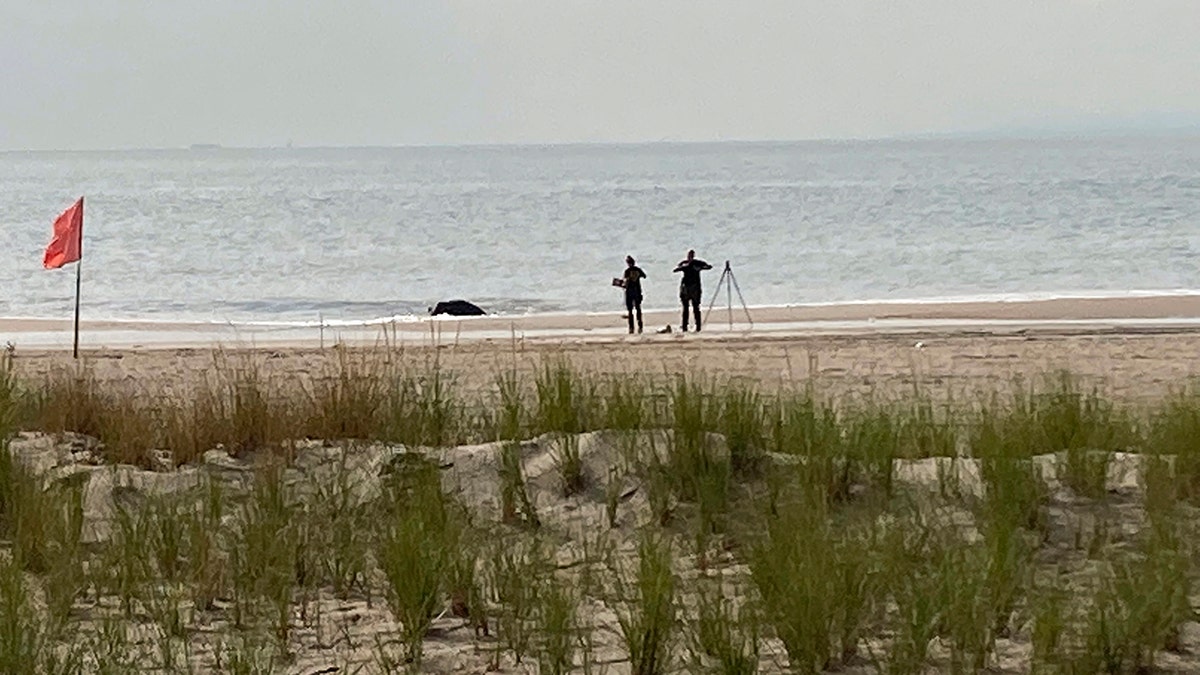 coney island crime scene