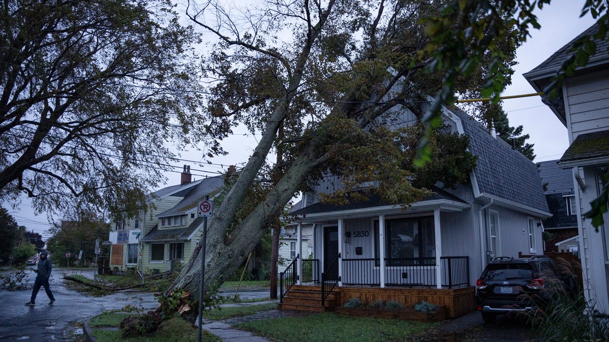 House damaged by tropical storm