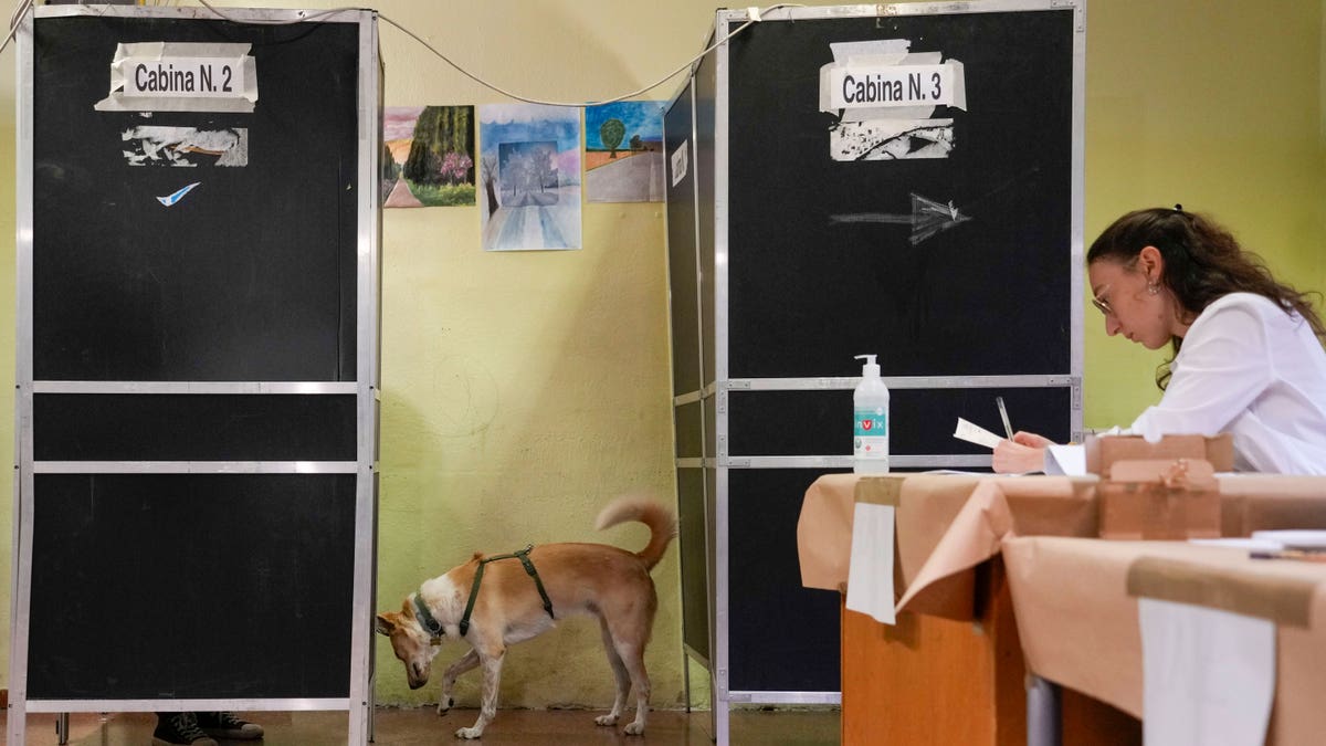 A dog waiting for his owner to finish voting while a lady sits at a table.