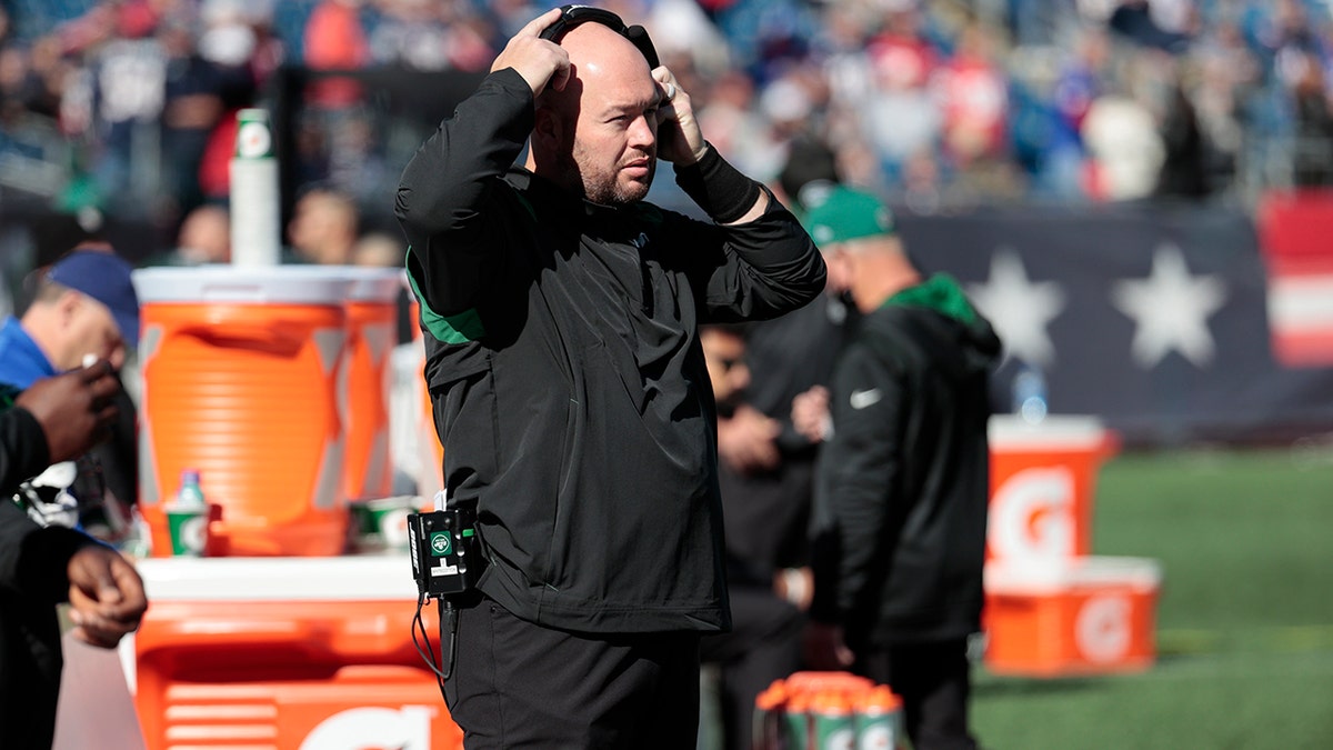 Quinnen Williams screams at Jets assistant Aaron Whitecotton