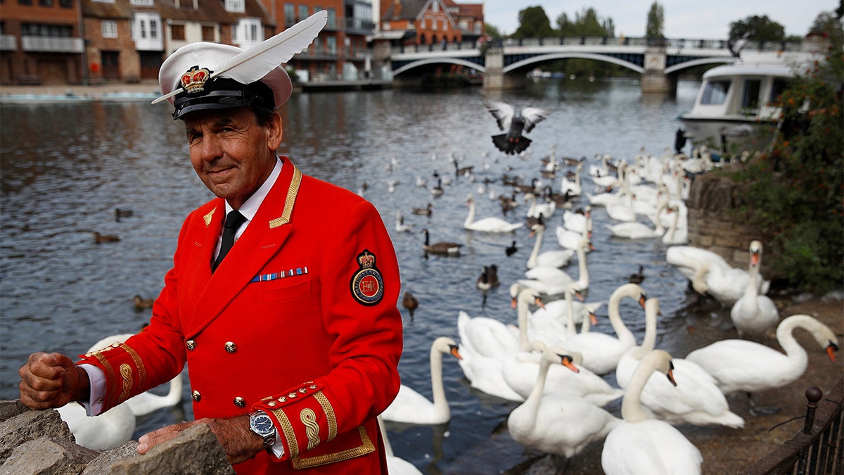 Royal swan marker David Barber