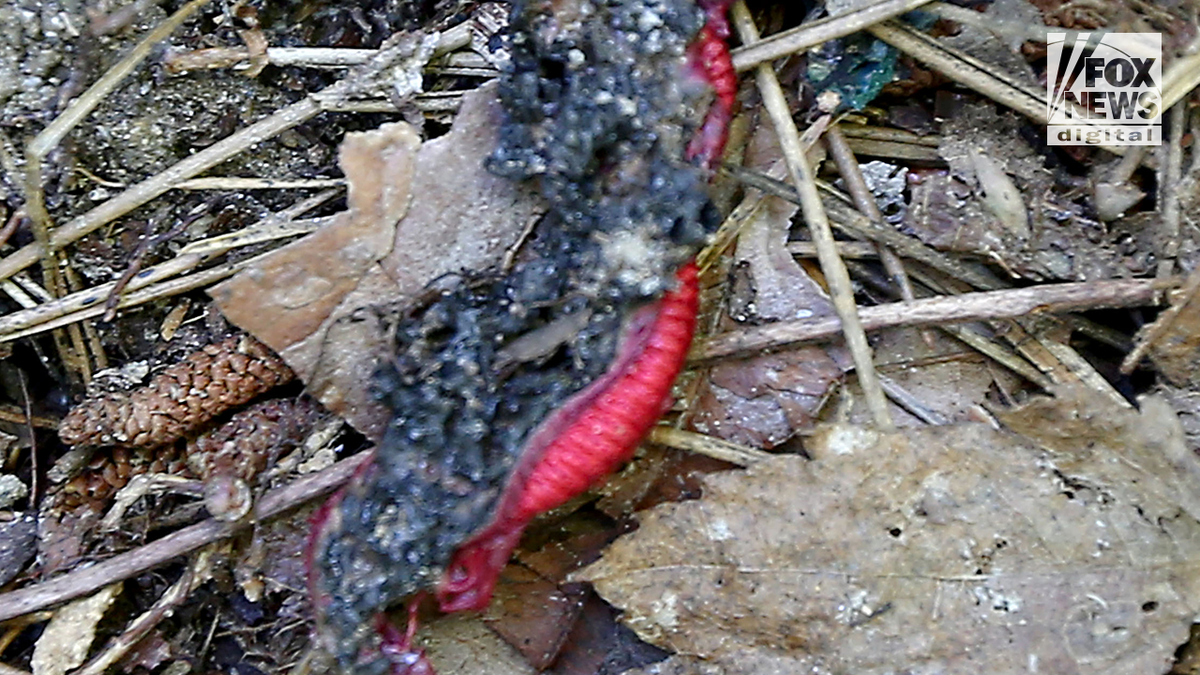Burned parts of the jersey Debbie Collier was wearing