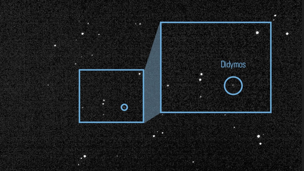 Asteroid Didymos