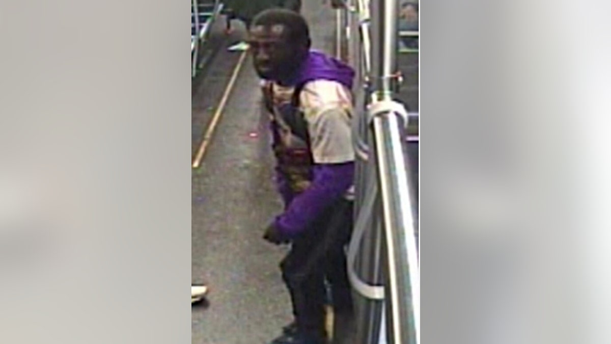 Male CTA assault suspect