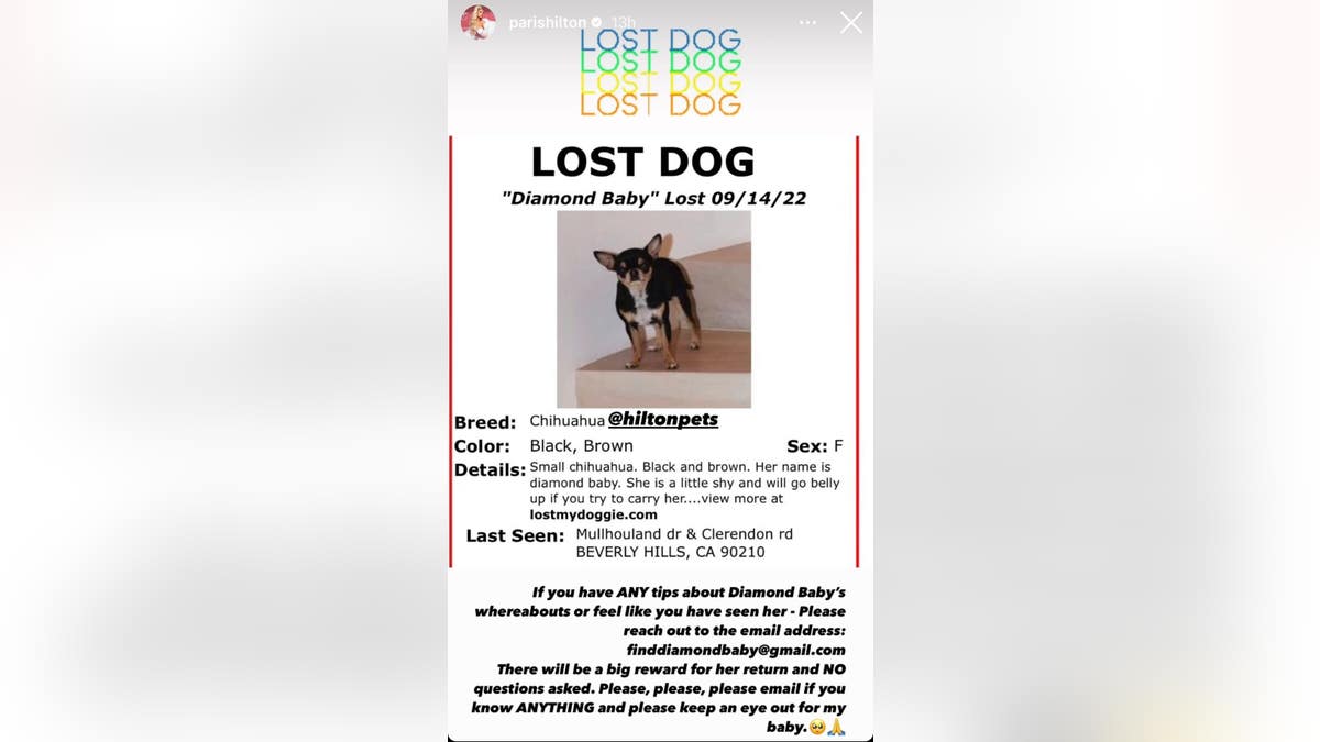 Paris Hilton Instagram 'Lost Dog' flyer