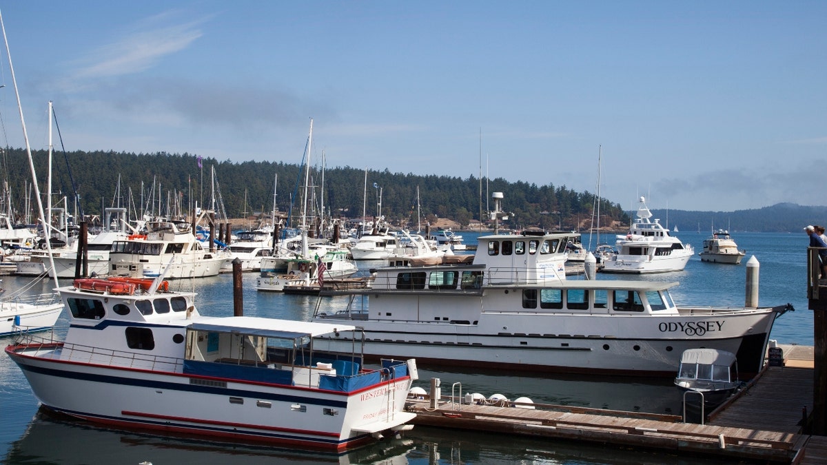 Boats in Friday Harbor