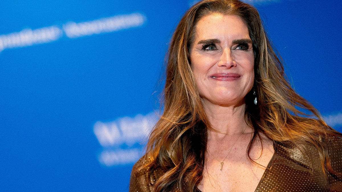 Brooke Shields at White House Correspondents Association gala