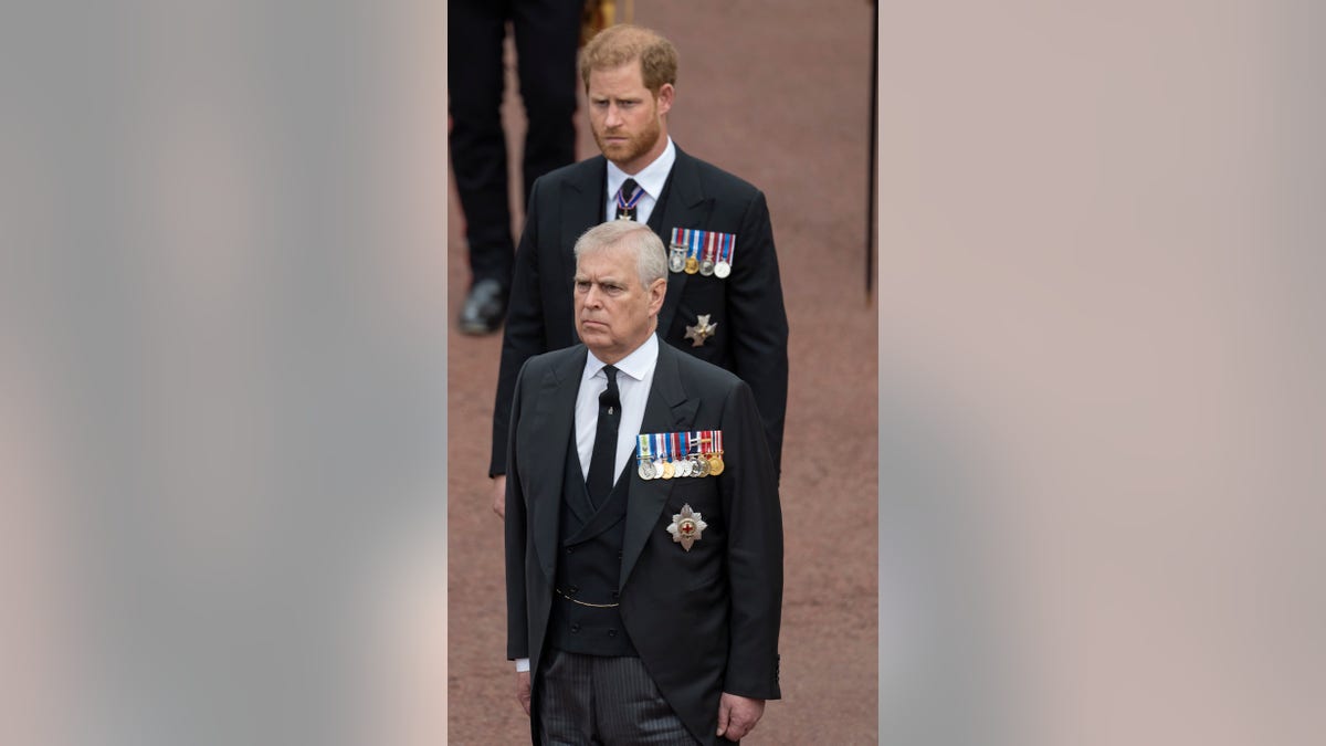 The Duke of York and Duke of Sussex at the Queen's funeral