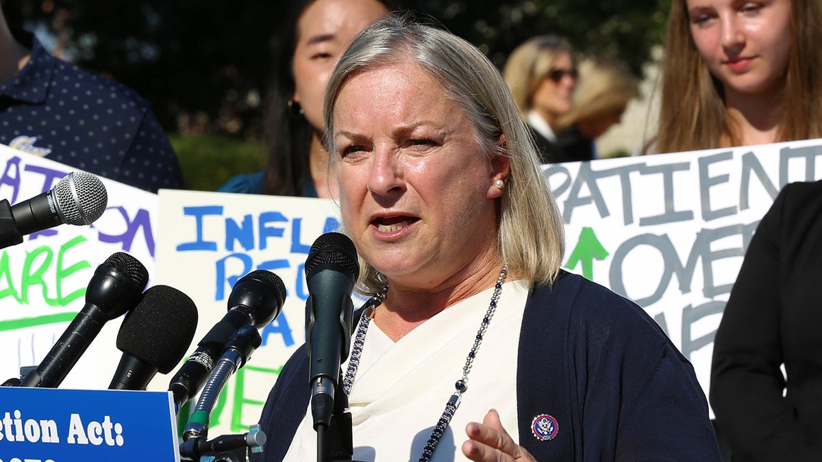 Rep. Susan Wild speaking at rally