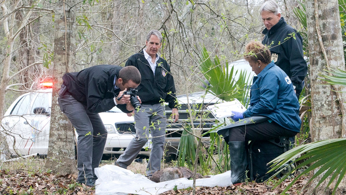 Lucas Black and Mark Harmon in NCIS New Orleans