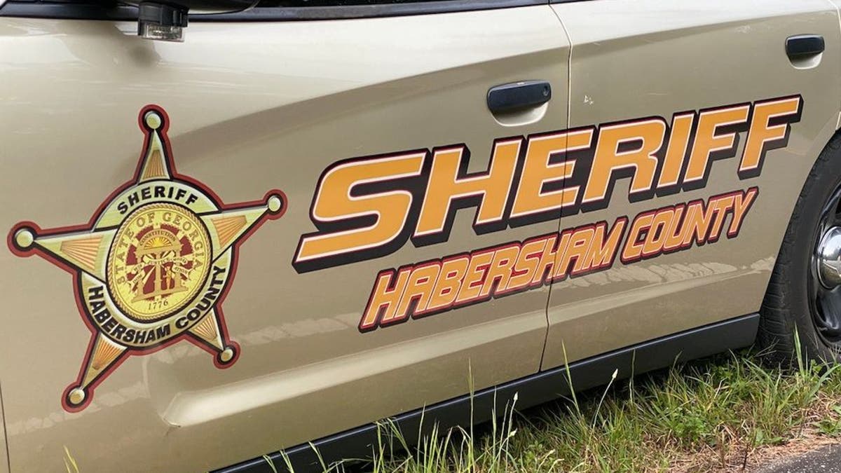 side of sheriff's car parked on grass