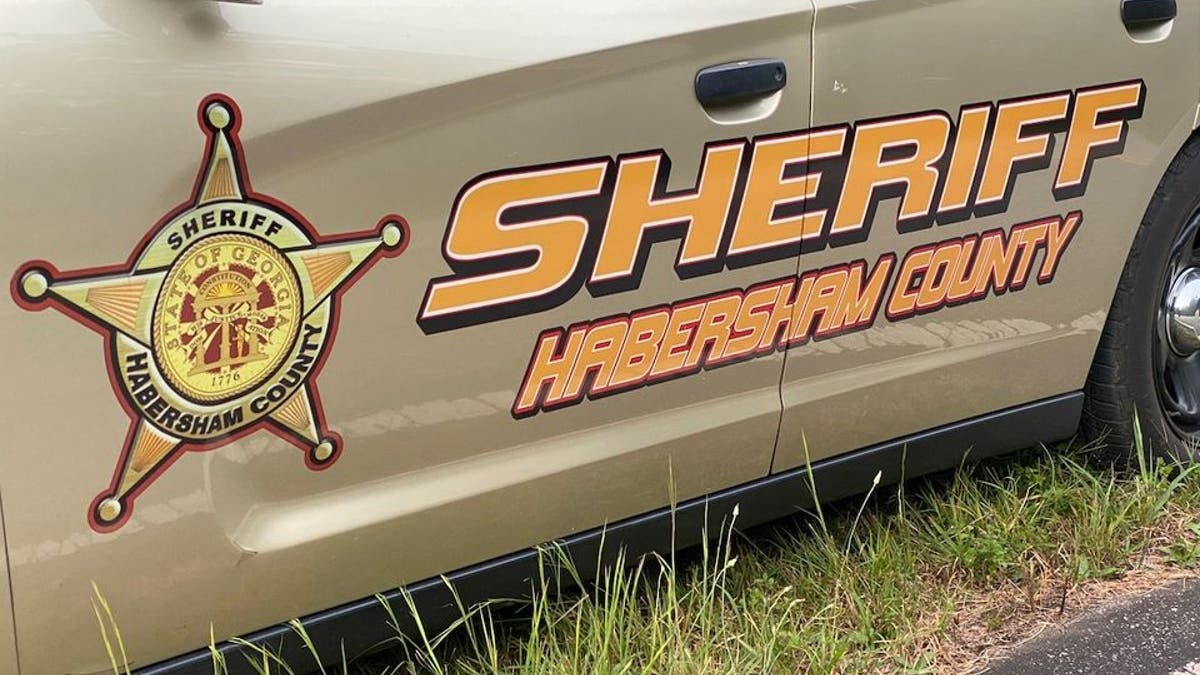 side of sheriff's car parked on grass