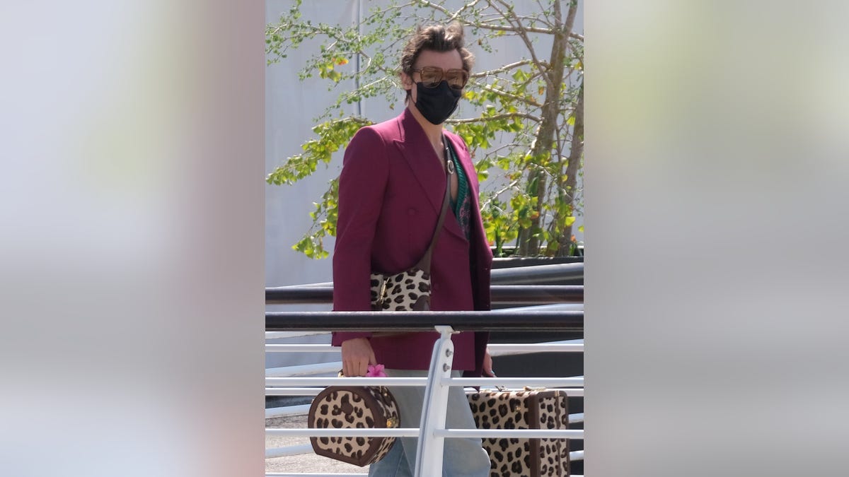 Harry Styles carries a leopard print purse