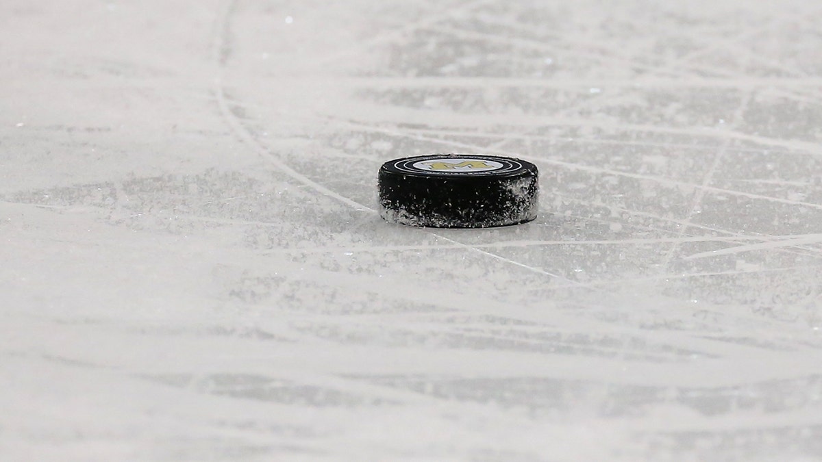 A hockey puck