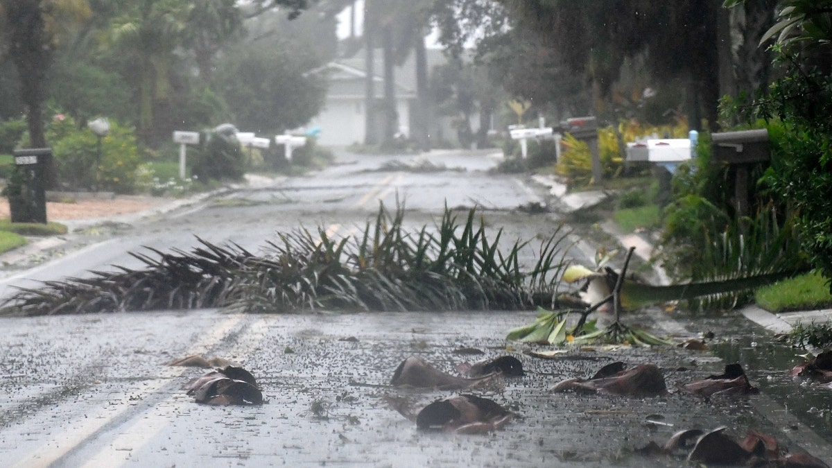 Hurricane Ian debris